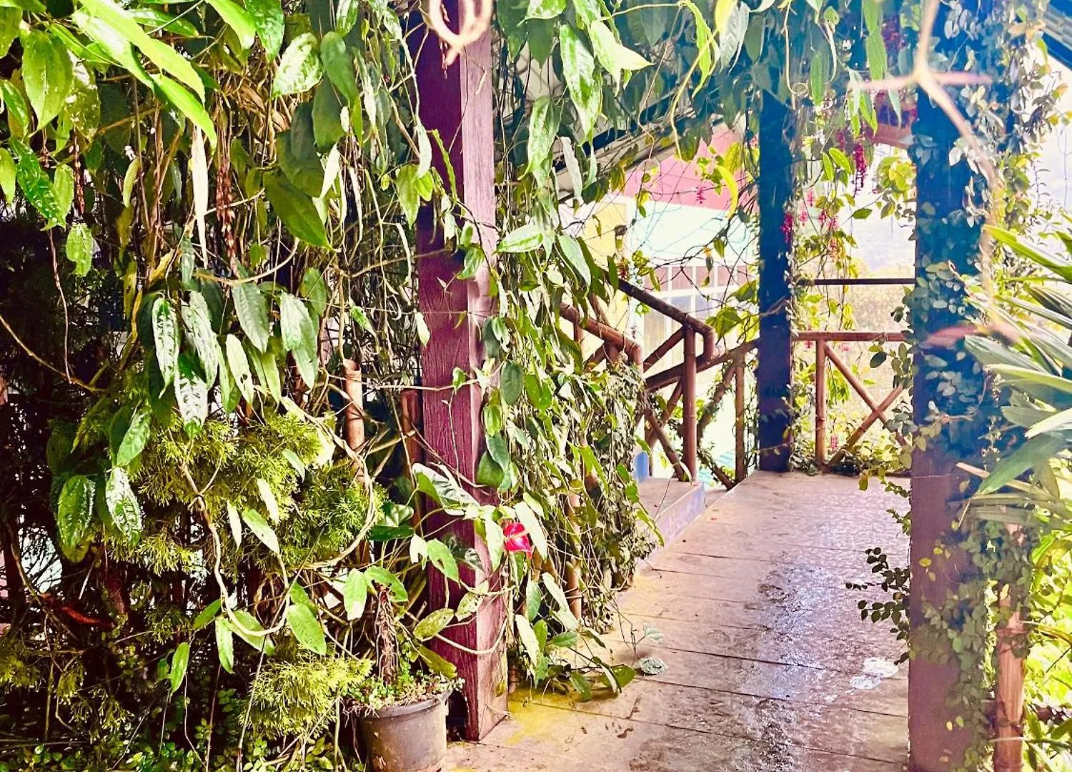 Nature Valley Farmhouse Resort By Raarees, Munnar #Lap Of Nature #Premium Rooms #Big Parking #Scenic View #Garden With Fireplace #Property Of The Year Hotel